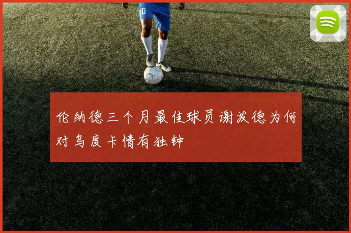 伦纳德三个月最佳球员谢泼德为何对乌度卡情有独钟