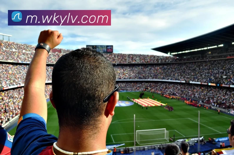 多媒体互动体验